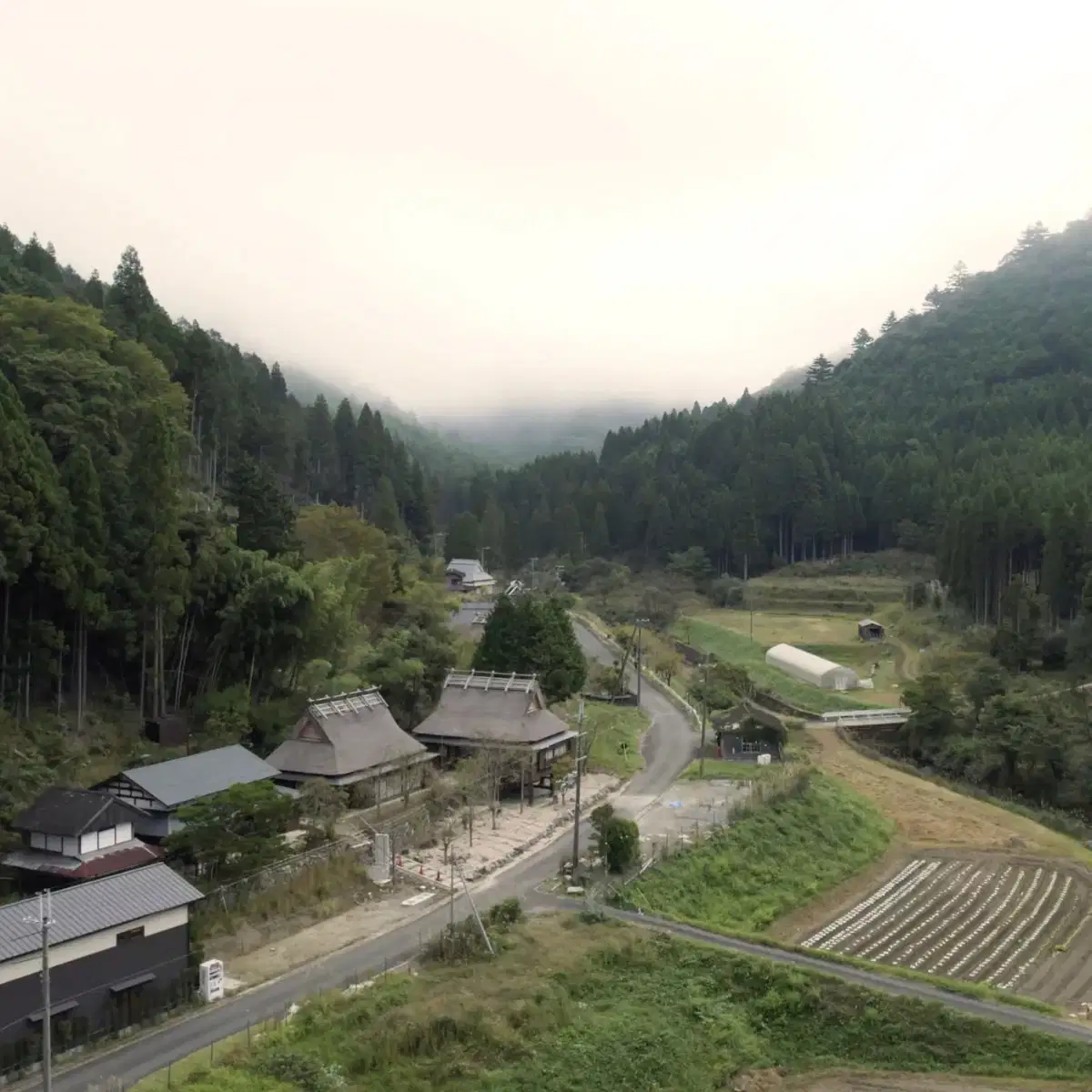 MIYAMA FARM,& RESORT